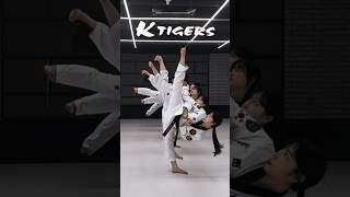 K타이거즈 SIDE KICK K타이거즈 태권도 옆차기 챌린지 sidekick Taekwondo TKD challenge [upl. by Llerraf]