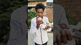 Indian ka sabse khatarnak kabutar Lal pigeon bast kubter short video beautiful kubter 🕊️🕊️🇮🇳🇮🇳❣️❤️ [upl. by Eatnuahc]