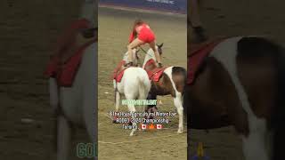 GOD GIVEN TALENT 🙏 godgiventalent rodeo TheRoyalAgriculturalWinterFair Toronto 🇨🇦 🍁 🇨🇦 [upl. by Yecrad347]