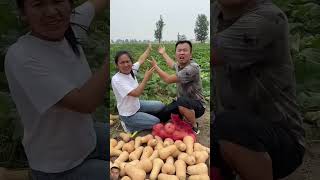 funny comedy amazing indianshorts shortvideo shortsfeed facts satisfying fruit food short [upl. by Rafe310]