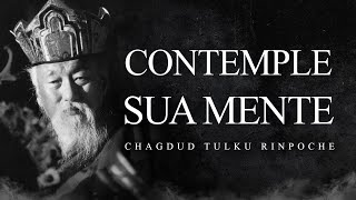 Chagdud Tulku Rinpoche  Contemple sua Mente [upl. by Eelarual877]