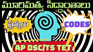 AP DSCTS TET PSYCHOLOGY మూర్తిమత్వ సిద్ధాంతాలు PERSONALITYchallenging Bits and codes [upl. by Ob]