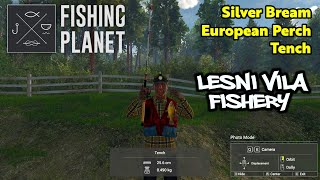 Silver Bream European Perch Tench Lesni Vila Fishery  Fishing Planet [upl. by Tocs198]