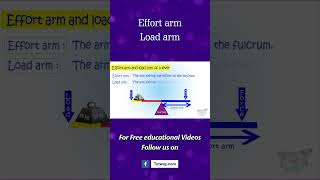 Lever  Parts of Lever  Effort Arm and Load Arm of a Lever  Types of Lever  Science shorts [upl. by Une]