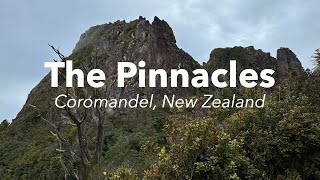 Hiking the Pinnacles  Coromandel Forest Park New Zealand [upl. by Mallorie]