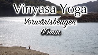 60min Vinyasa Flow Yoga Level 12  Vorwärtsbeugen [upl. by Graig]