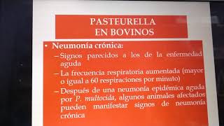 Bacteriología Pasteurella multocida clase [upl. by Isaacs]