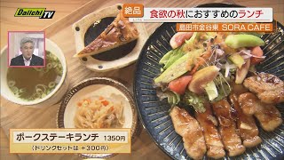 【絶品ランチ】築110年の古民家をリノベーション！癒しの空間でおいしい料理を堪能（静岡･島田市） [upl. by Rekoob]