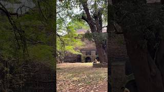 St Angelos Fort 🫶 കണ്ണൂർ travel kerala shortvideo kannur [upl. by Lertnahs]