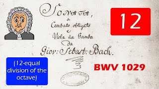 Bachs BWV 1029 1st movement arranged for Alto Sax tuned into E12 [upl. by Valer207]