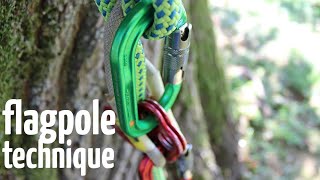 Climbing system repositioning  Arborist climbing techniques [upl. by Alleuol]