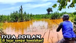 Mancing Liar di Spot Danau Nggak Nyangka Dapat Banyak Ikan Gabus Babon [upl. by Andris578]