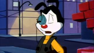 Animaniacs  S01E103 [upl. by Brittani54]