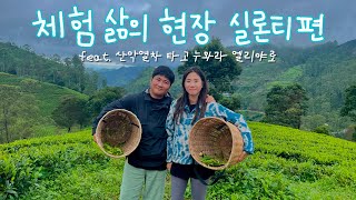 🇱🇰Ep24스위스 산악열차 가성비 버전 스리랑카 열차 1등석 현장예약 후기 담로 티팩토리러브립스 폭포 [upl. by Innes37]