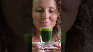 Amazing Benefits Of Spirulina [upl. by Acinhoj]