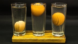 5th Grade Science Projects Floating Egg [upl. by Kloman]