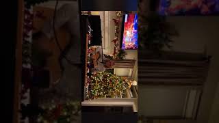 Avery sings Celtic Thunder’s song “1915 Christmas Day” [upl. by Anaic596]