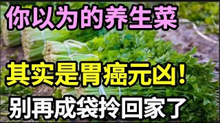 最伤胃的菜被揪出，不少人还傻傻以为这是「养生菜」！难怪年纪轻轻就患上胃癌，你还成袋拎回家！【家庭大医生】 [upl. by Katsuyama]