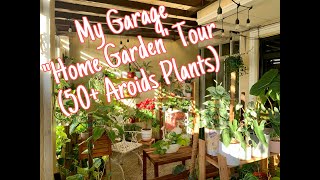 My Garage “Home Garden” Tour 50 Aroids Plants [upl. by Magda]