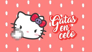 Gatas en CELO  ¿Cómo sobrellevar esta DIFÍCIL ETAPA 😾🚺♀ [upl. by Royd]