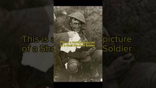 The Truth Behind This Famous World War One Picture ww1 warshorts warhistory military facts [upl. by Carothers]