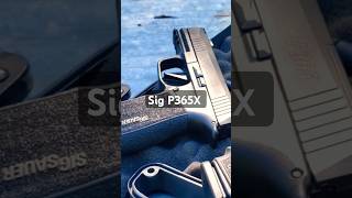 SIG P365X vs Steel Plate sigsauer guns shooting gunculture shorts [upl. by Ailssa240]