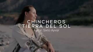 NANCY MANCHEGO quot CHINCHEROS TIERRA DEL SOLquot [upl. by Garner]