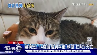 貓糧食安危機 4貓換飼料釀「1死2低血鉀」｜TVBS新聞 TVBSNEWS01 [upl. by Ylebmik35]