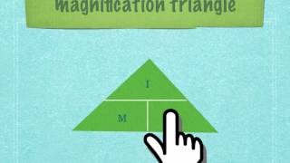 IGCSE 23 Calculating magnification of drawings [upl. by Nap]