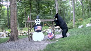 EarthCam Live Snowman Cam  Animals and Wildlife Gaylord Michigan [upl. by Sheilah]