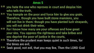 928 Amos 4  6  Bible Daily Reading September 28 [upl. by Neras]