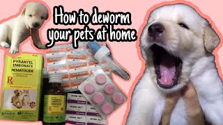 How to deworm a puppy  Paano mag purga ng aso [upl. by Zetniuq]