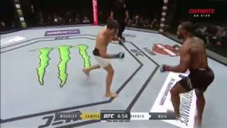 Tyron woodley vs demian maia UFC214 Fight Highlight [upl. by Teodoor621]