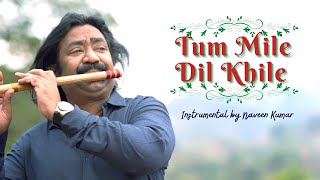 Tum Mile Dil Khile  Instrumental by Naveen Kumar [upl. by Bussey]