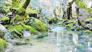 Amazing Nature Scenery of Lesvos island in Greece  Relaxing Video [upl. by Krein211]