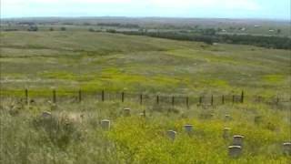 THE FALLEN AT THE BATTLE OF THE LITTLE BIGHORN [upl. by Leziar]