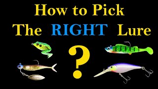 How to Pick the Right Fishing Lure Best Way to Catch a Fish [upl. by Ideih972]