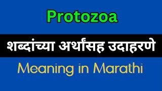 Protozoa Meaning In Marathi  Protozoa explained in Marathi [upl. by Sined535]