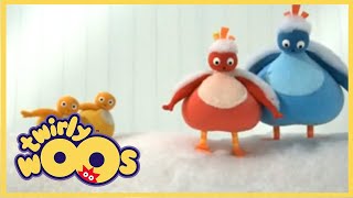 Twirlywoos  More About Covering  Shows for Kids [upl. by Anomor655]