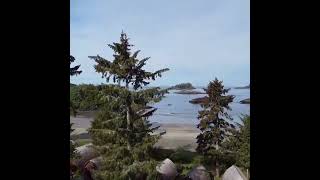 Tofino mornings on Mackenzie beach oceanvillageresort beachresort tofinobc oceanfrontcabin [upl. by Xila]