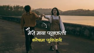 Purna Rai and Dajubhai – SPARSHA SANGEET timro maya 99 bhaye mero maya 100 lyrics [upl. by Ellekim]