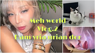 Meh world Vlog2 Dam yriaaaa aaaa [upl. by Airak136]