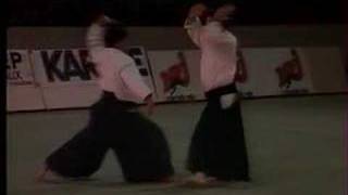 Aikido and Aikibudo at Bercy Paris 1989 [upl. by Murry907]