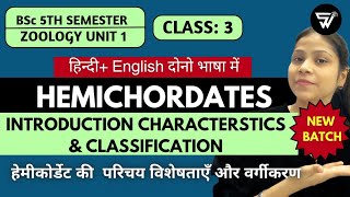 Introduction Characteristics amp Classification of Phylum HemichordataBSc 5th Semester unit 1 [upl. by Cattier]