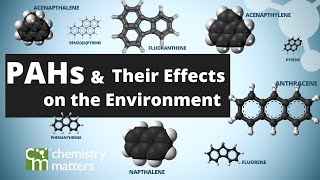 What are PAHs  The Effects on the Environment from PAHs [upl. by Walters]