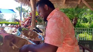 Under the Sea The little mermaid  Steelpan cover  Ravon quotSteelyquot Rhoden [upl. by Kaye]