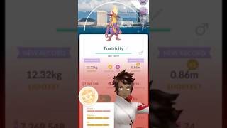 ✨I ALMOST Got A SHUNDO Background Toxtricity in Pokemon Go✨ shorts pokemon [upl. by Togram]