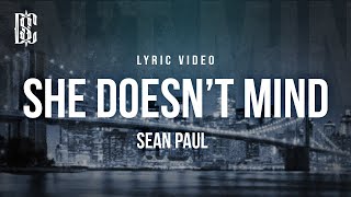 Sean Paul  She Doesnt Mind  Lyrics [upl. by Eserrehs893]