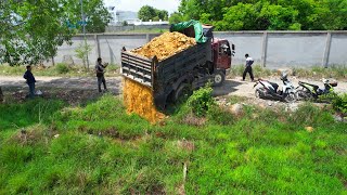 Starting a new project Land filling Use Dozer KOMATSU D20P With Truck 5T Push soil into grass [upl. by Amej]