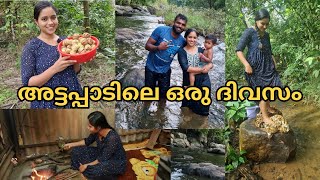 ഒരു അട്ടപ്പാടി vlog Day in my lifeSaranyasbeauty Vlogs [upl. by Marya]